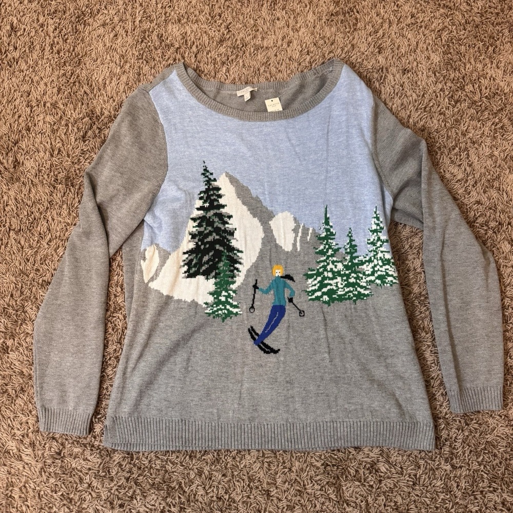 Talbots Women's Sweater Gray Skiing Girl Scene Round Neck Pullover Size L‎ NWT